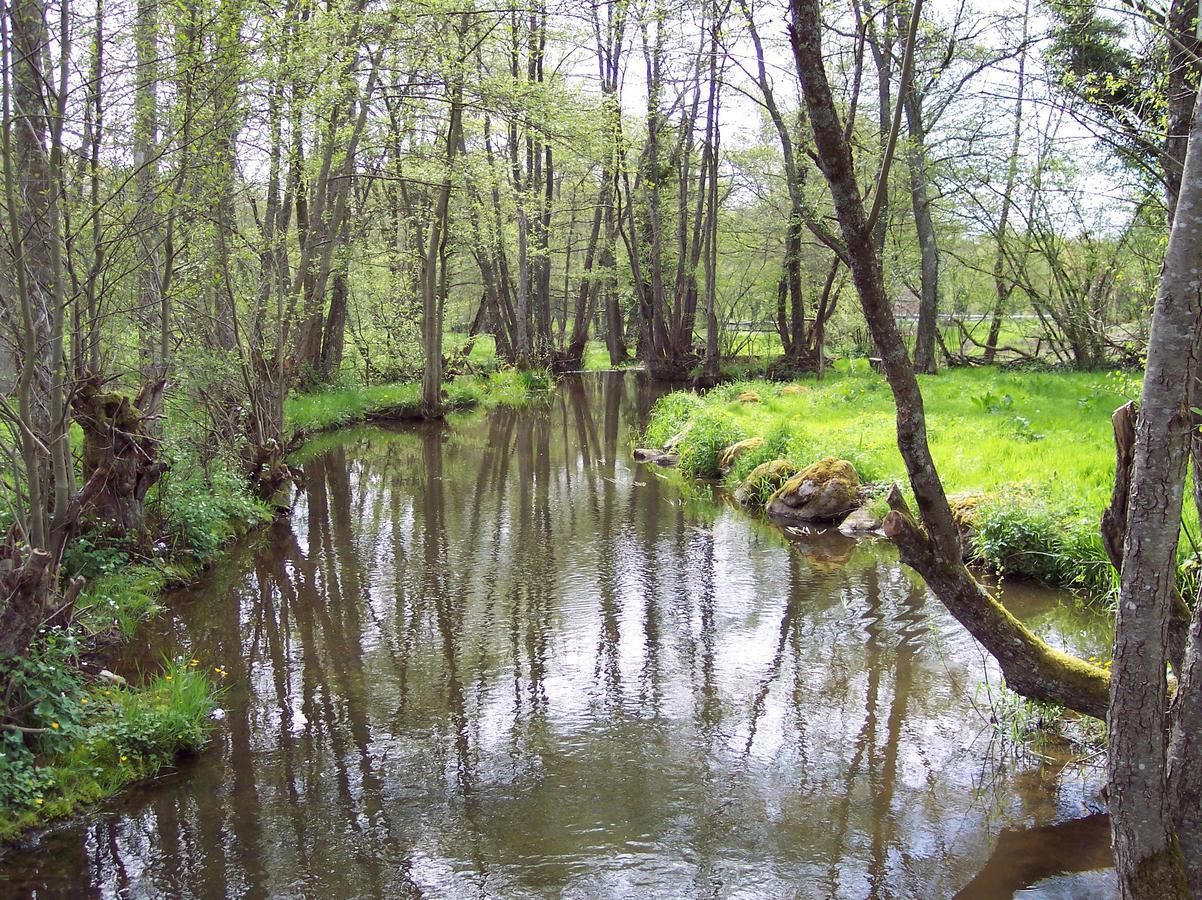 La Vieille Auberge Du Lac Saint-Agnan  Kültér fotó